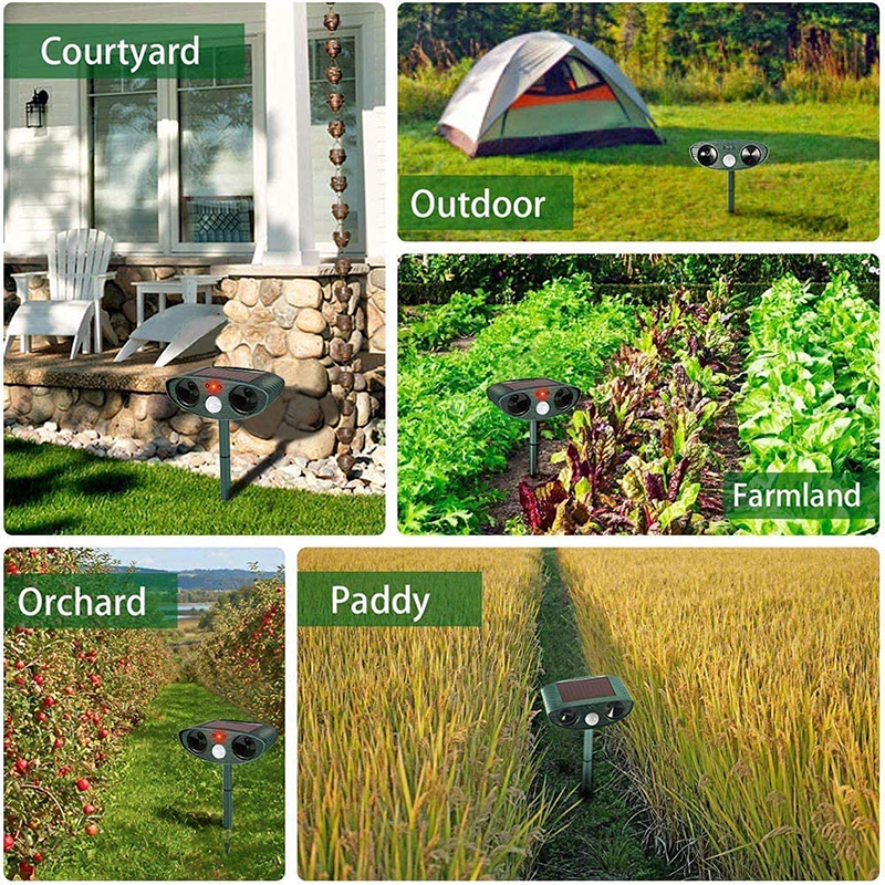 AviGuard | Deterrent Humane Solar-Powered Ultrasonic Rabbit Repeller