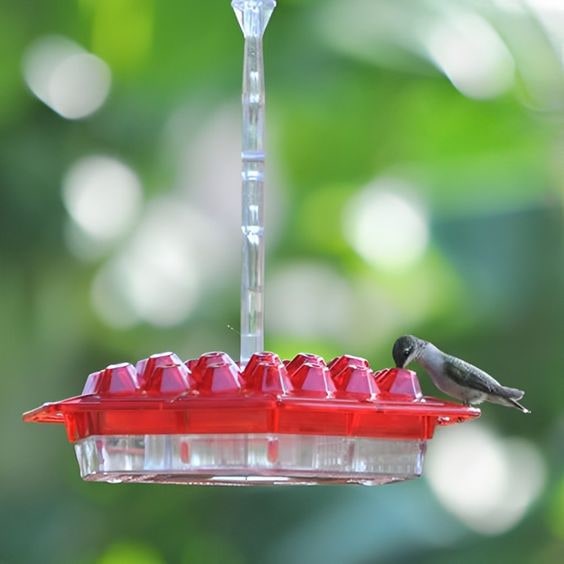 Outdoor Hummingbird Feeder – Multi-Port Nectar Feeder with Perches