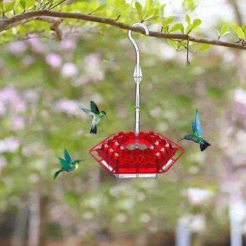 Outdoor Hummingbird Feeder – Multi-Port Nectar Feeder with Perches